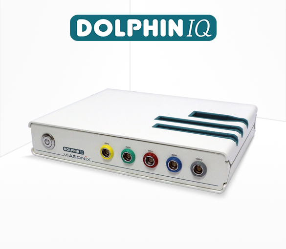 dolphin iq 1