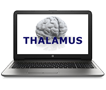 thalamus alfa
