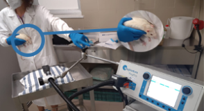 L’Istituto Superiore di Sanità avvia la sperimentazione TMS sui ratti con il Cool-40 Rat 